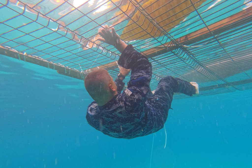 Members of the leader development center "Marko Babić" participate in sea training on Korčula with the support of naval infantry