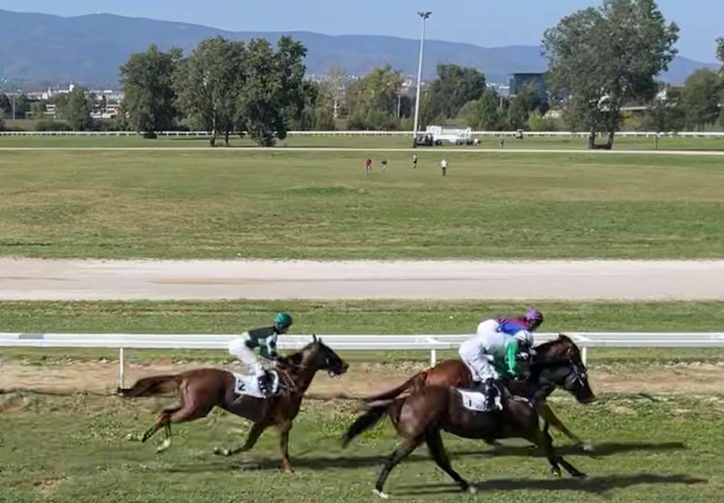 Im Hippodrom Zagreb findet das achtzehnte kroatische Gallop-Derby mit internationalen Teilnehmern aus acht Ländern statt